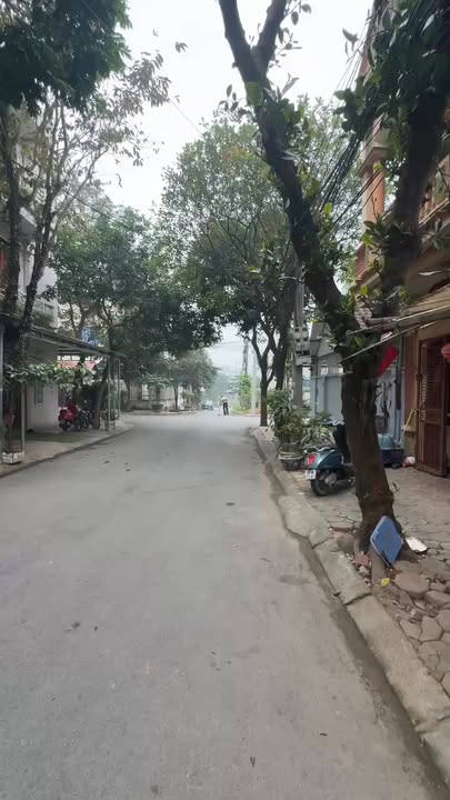 Đất nền phố Đào Duy Kì, Việt Trì 76.5m² - Vị trí đẹp, thuận tiện an cư!