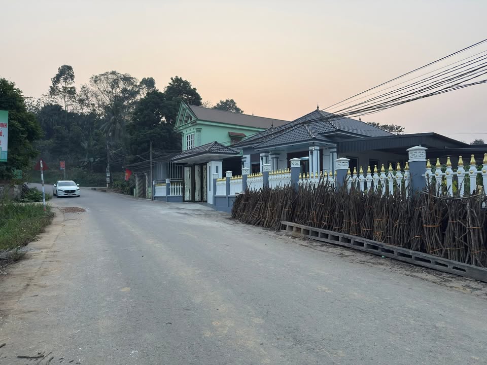 Đất biệt thự 400m² tại xã Đông Thành, Phú Thọ - Giá hấp dẫn chỉ hơn 1 tỷ!