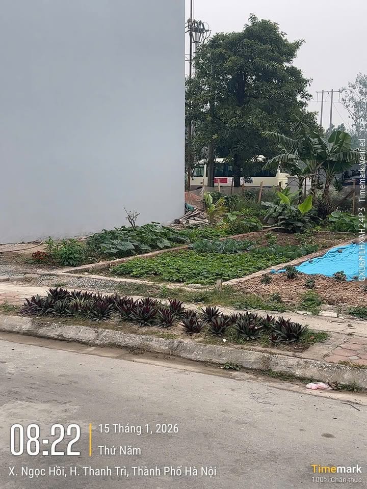 Đất nền TDC Ngọc Hồi 30m² giá 7 tỷ - Phân lô, ô tô vào tận nơi!