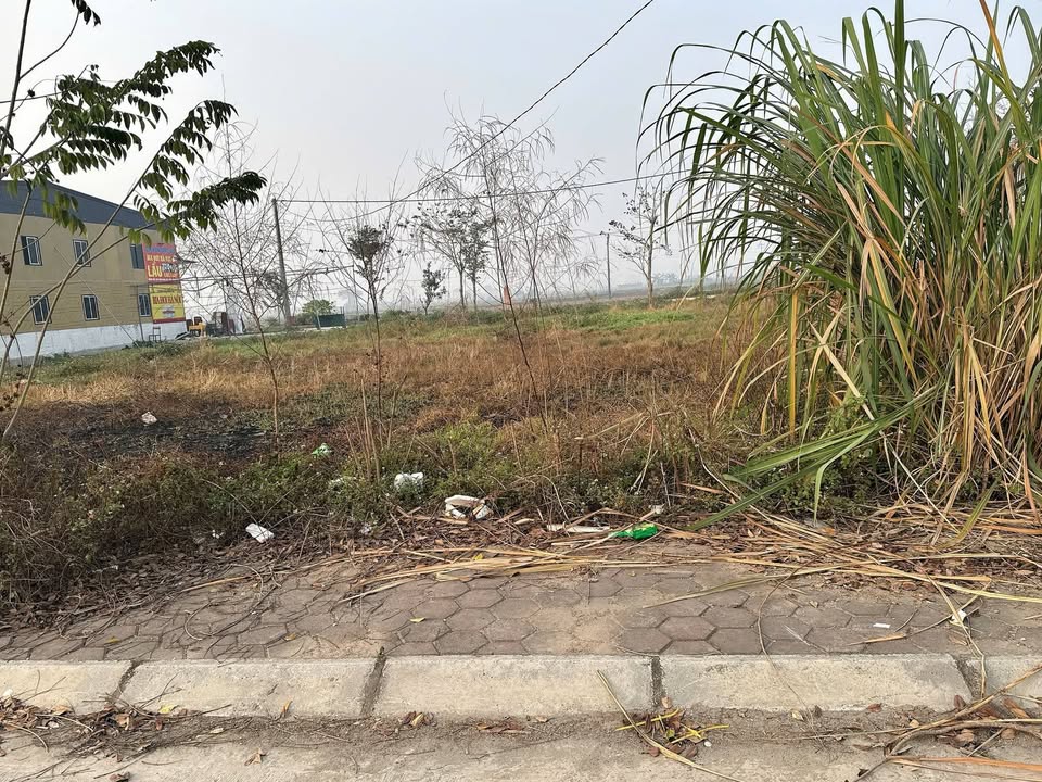 Đất nền Rặng Sắn, Thanh Oai 83.5m² giá 6 tỷ - Dân trí cao, an ninh tốt!