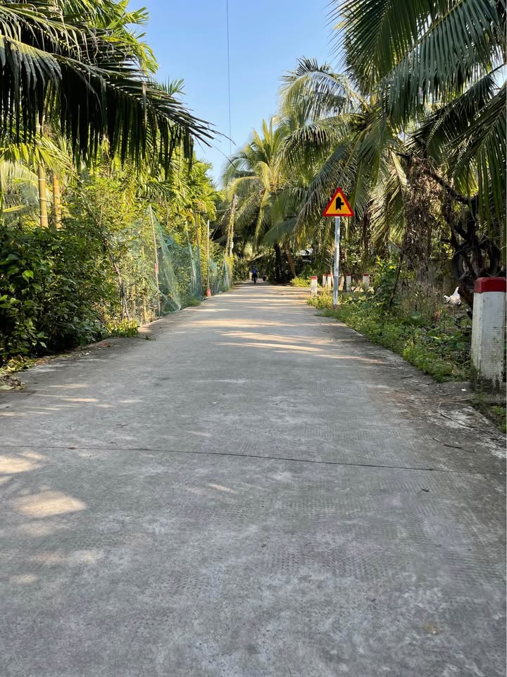 Đất nông nghiệp Xã Châu Hưng 1 công 2 - Giá 900 triệu - Đầu tư sinh lời từ cây dừa