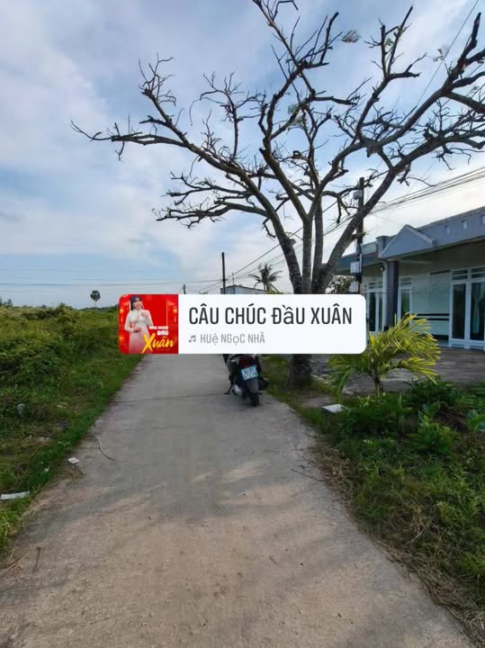 Đất nền Hẻm Mỹ Hảo, Bạc Liêu 1859m² giá 430 triệu - Đường ô tô vào tận nơi!