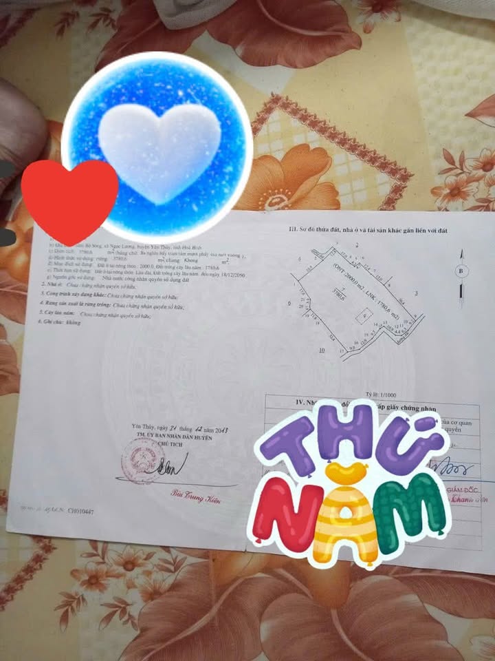 Đất nền 3870m² tại Yên Trị, Yên Thủy, Hòa Bình - Đầu tư sinh lời tốt!