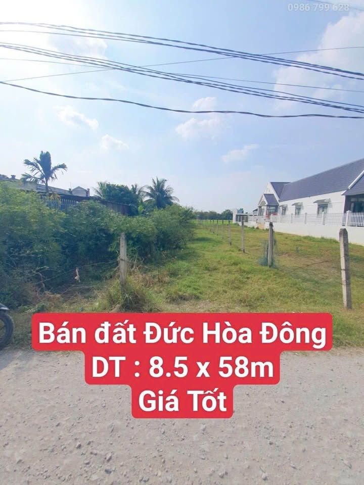 Đất thổ cư Đức Hòa Đông 491m² giá 4.1 tỷ - Sổ hồng chính chủ, đầu tư sinh lời!