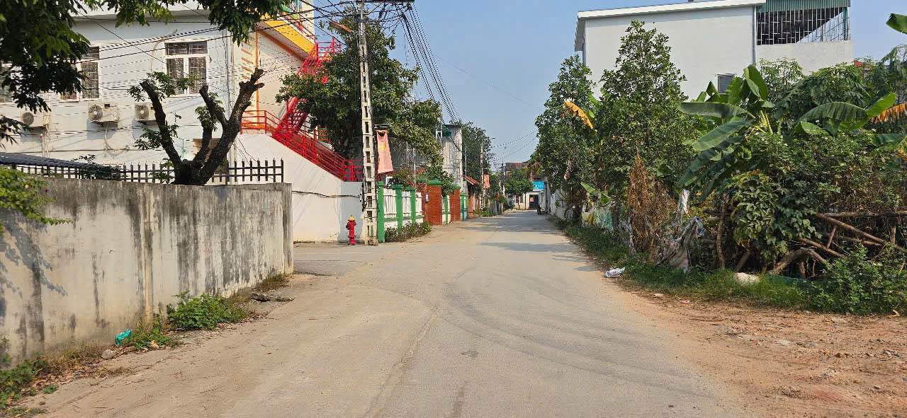 Đất nền Kim Long, Tam Dương 115m² - Vị trí đắc địa cho kinh doanh!