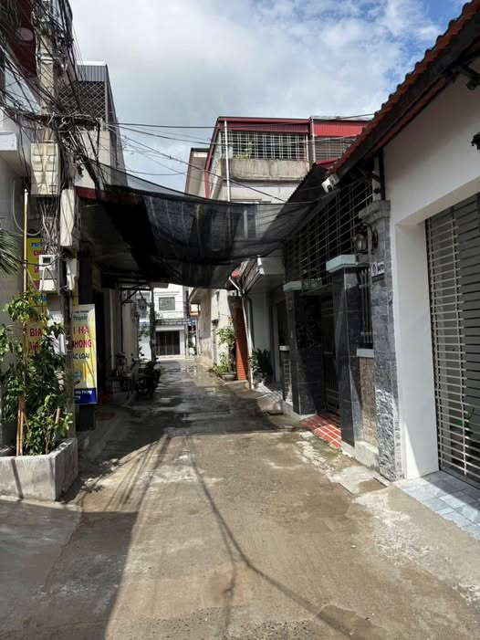 Đất nền chính chủ tại Quy Tức, 48m² giá 1.2 tỷ - Vị trí đắc địa, cơ hội đầu tư tốt!