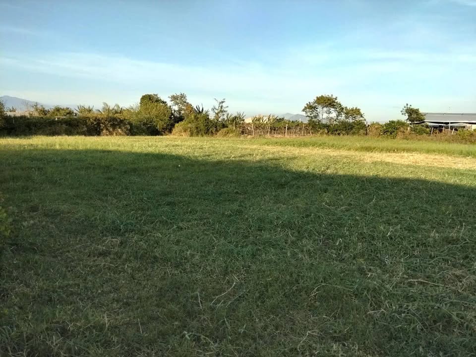 Lô đất Phước Thuận 929m² giá thỏa thuận - Đầu tư lợi nhuận cao!