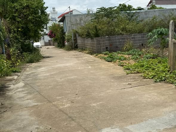 Đất nền Thôn Võ Cạnh, Vĩnh Trung 142.5m² giá 2.3 tỷ - Ô tô vào tận nơi!