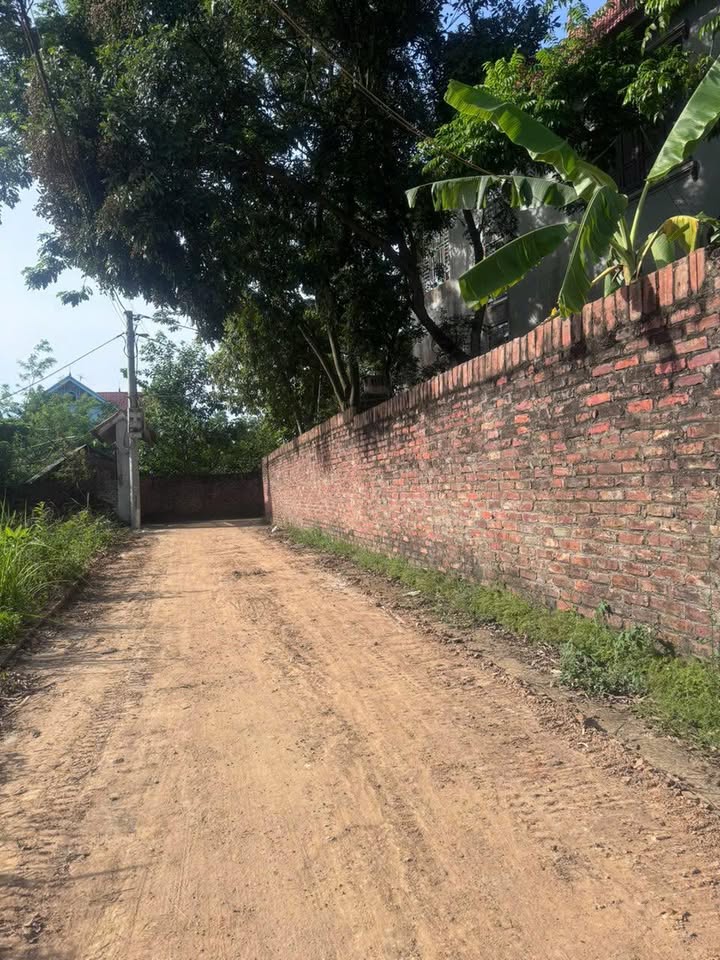 Đất nền giá rẻ 49m² tại Cộng Hoà, Sóc Sơn - Chỉ 1.3 tỷ, cơ hội đầu tư tuyệt vời!