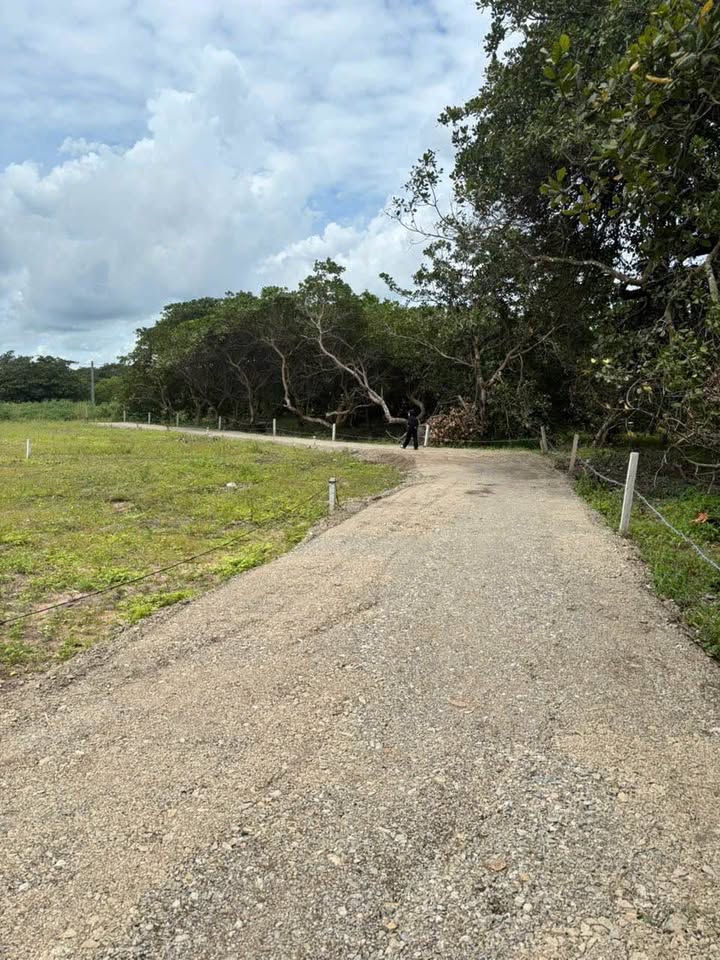 Đất nền Xã Phước Tân, Huyện Xuyên Mộc, 1250m² giá 600 triệu - Cơ hội đầu tư tốt!