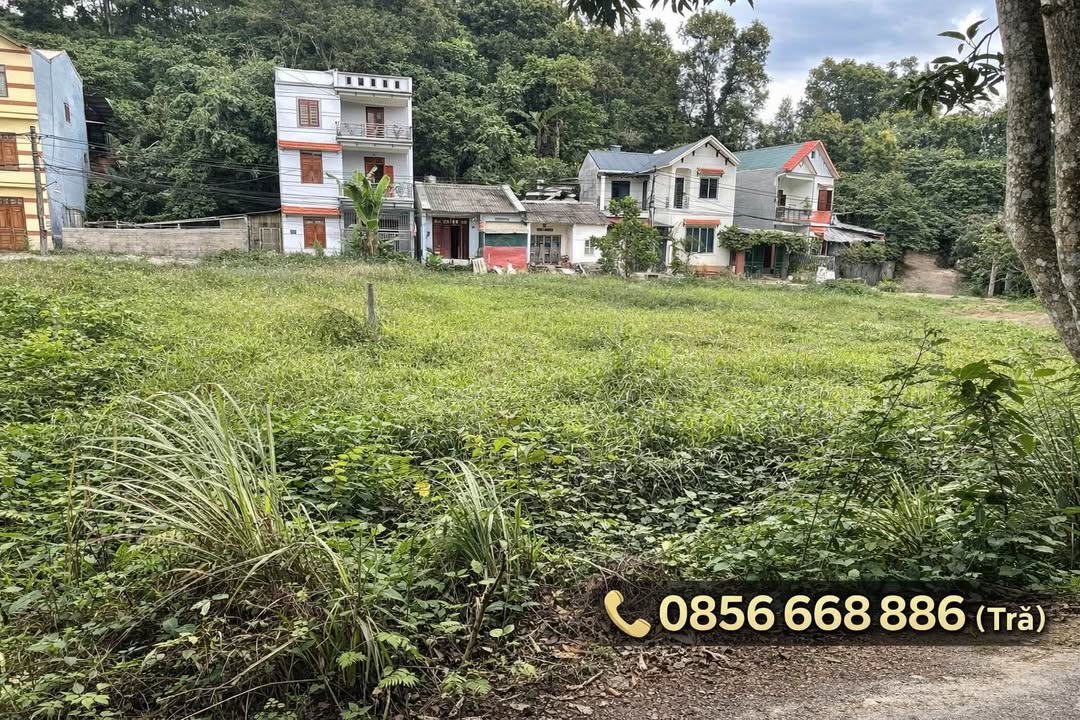 Đất ở Tân Giang 80m² giá 7xx triệu - Ô tô vào tận nơi!