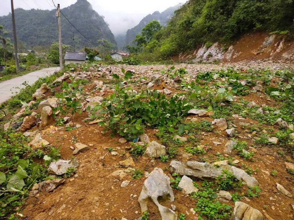 Đất nền trung tâm xã Quảng Uyên 686m² - Chính chủ giá mềm