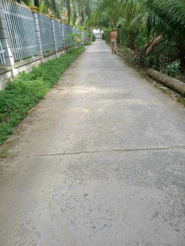 Đất nền xã Phước Hiệp, Mỏ Cày Nam 3600m² - Giá 600 triệu, thương lượng chính chủ!