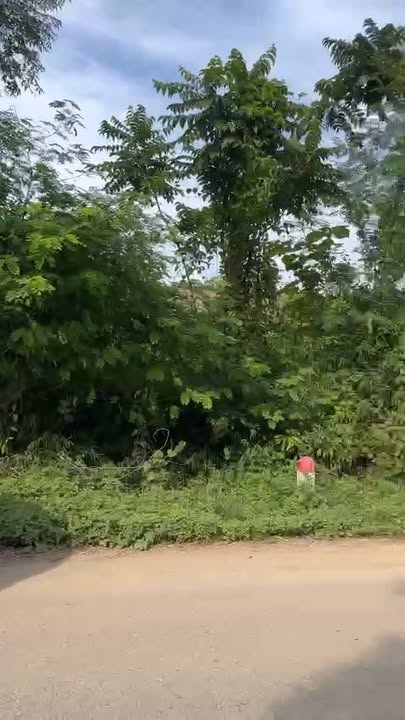 Đất thổ cư mặt đường 479B, Xã An Bình, Lạc Thủy, Hòa Bình - Giá chỉ từ 1.2 tỷ!