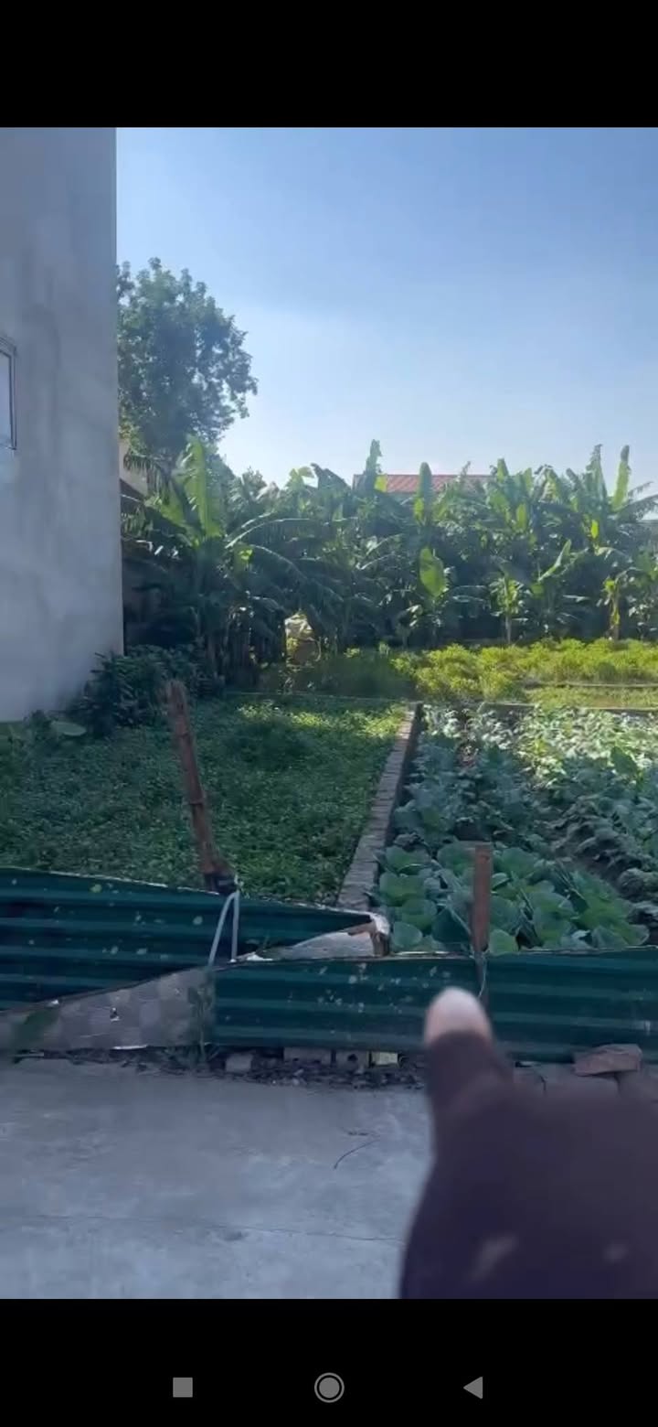 Đất nền Thường Tín 52.7m² giá 3 tỷ - Đường thông thoáng, tiện ích đầy đủ!