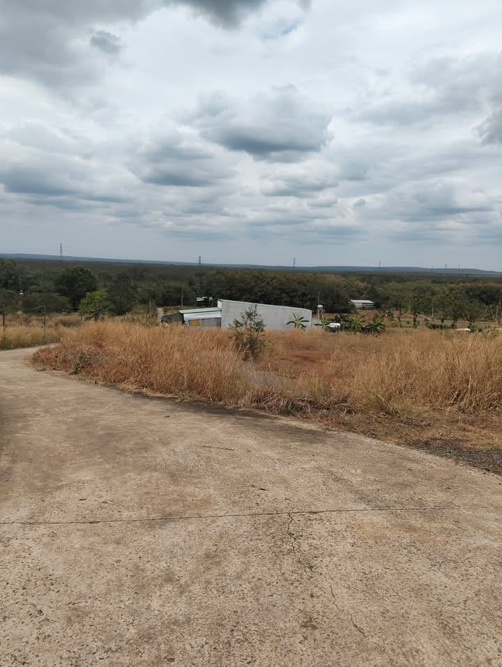 Đất nền View Đà Lạt Thanh Thịnh 250m² giá chỉ 195 triệu - Cơ hội đầu tư tuyệt vời!