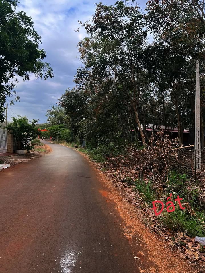 Đất nền Bình Tân 5250m² giá 5 tỷ - Đường thông dân cư đông đúc!