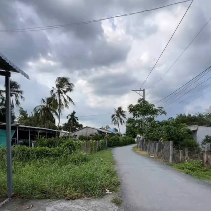 Đất thổ cư 200m² tại Xã Đồng Sơn, Huyện Tam Nông - Giá chỉ 950 triệu!