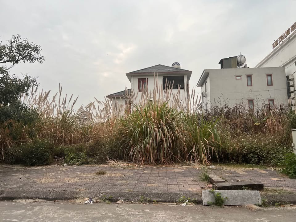 Đất biệt thự Bến Do Cẩm Phả 250m² giá 5 tỷ - Đường rộng vỉa hè thoáng mát!