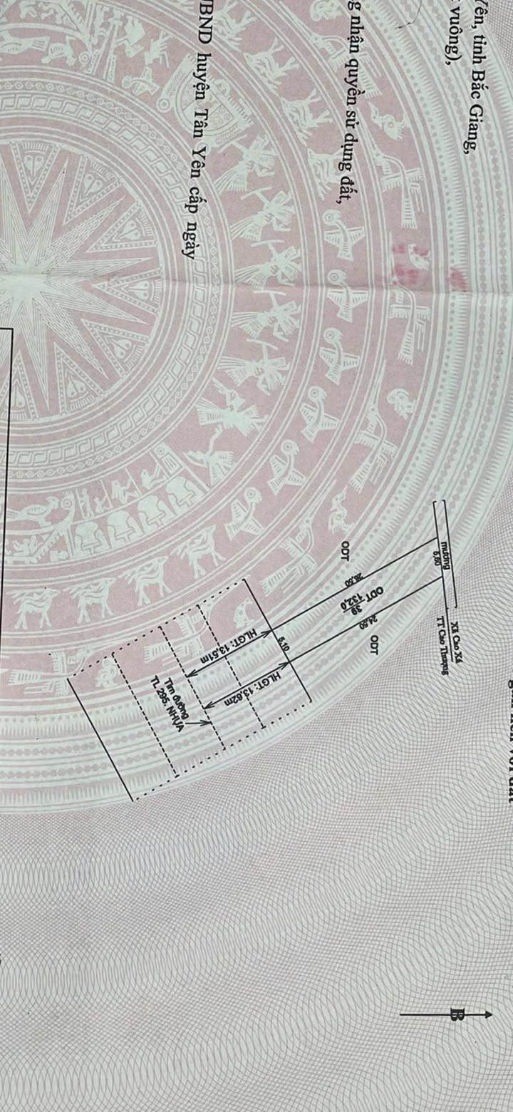 Lô đất Ngô Xá 132m² giá 6.732 tỷ - Đầu tư sinh lời, gần trường và chợ!