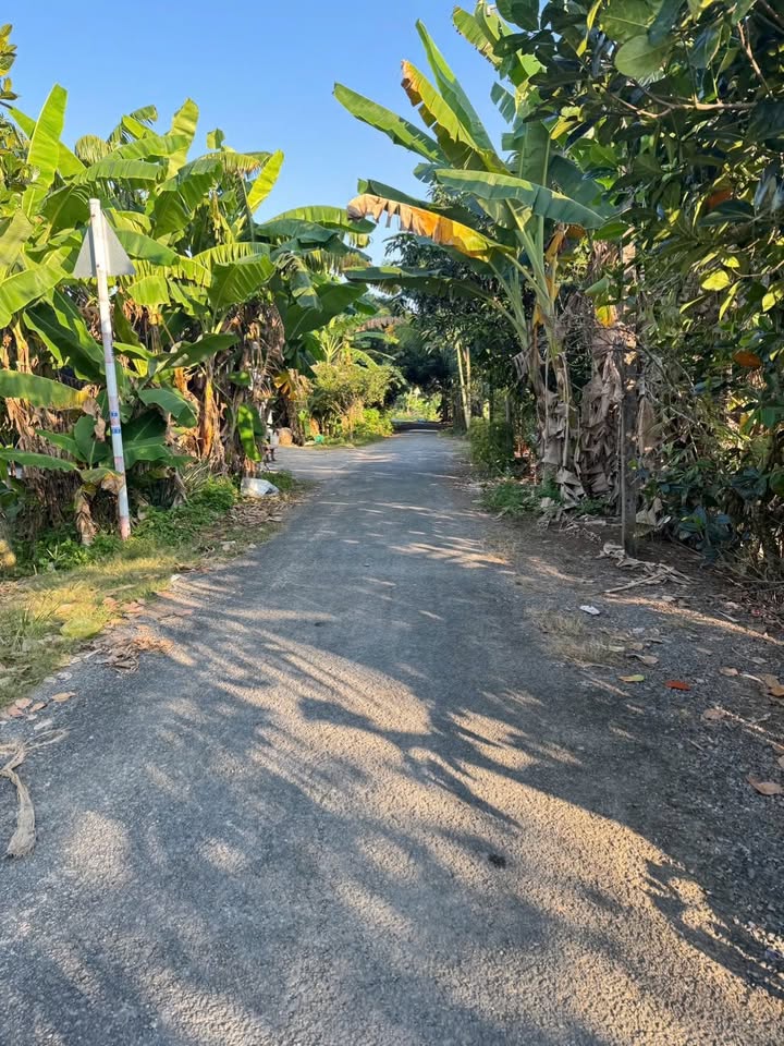 Đất nền mặt tiền đường tránh Quốc Lộ 30m, 150m² giá 550 triệu - Đầu tư sinh lời ngay!