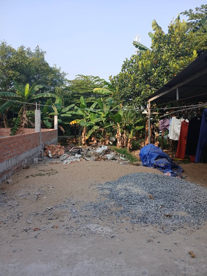 Đất cây lâu năm 50m² giá 800 triệu - Sổ chung, gần Vinhome!