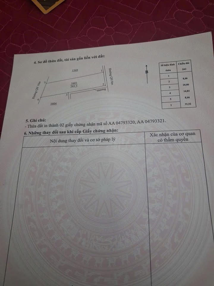 Lô đất kinh doanh mặt tiền Đường Kinh Doanh, Hùng Tiến, Nam Đàn 265m² giá 2 tỷ - Cơ hội đầu tư sinh lời!