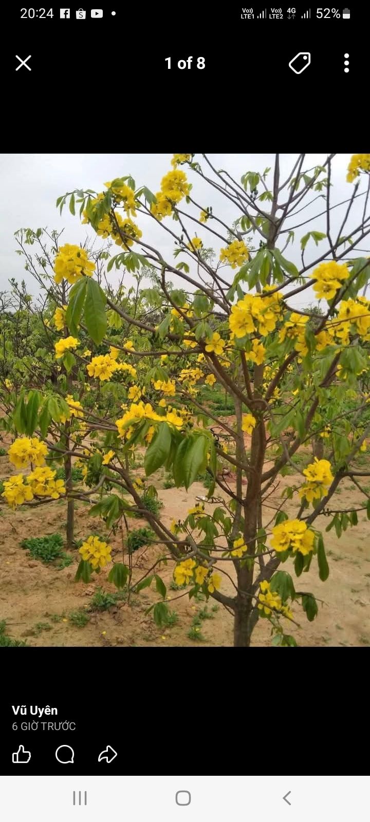 Nhà 2.5 tầng tại Khu đô thị Đức Dương 100m² giá nhỉnh 2 tỷ - Sổ đỏ chính chủ!