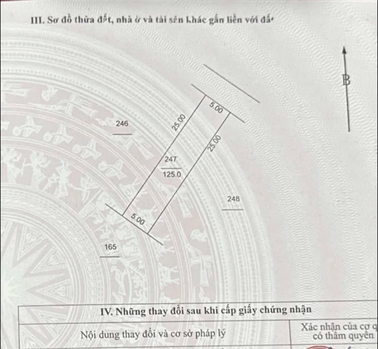 Đất chính chủ Thôn Đào Xá, Xã Hoàng Long, 125m² chỉ 3.625 tỷ - Ngõ ô tô vào thoải mái!