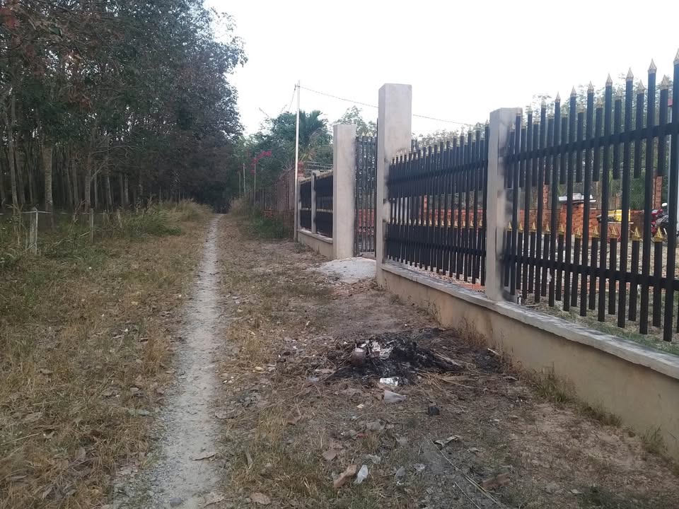 Nhà vườn Long Nguyên 1200m² giá 2 tỷ - Sở hữu ngay không lo ngập thở!