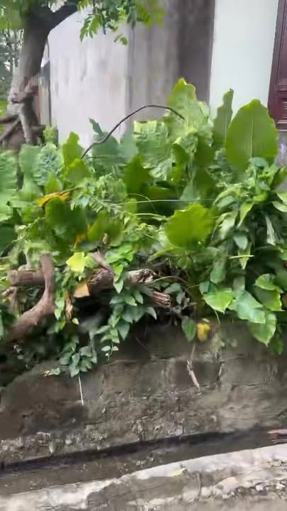 Đất ở Thị trấn Xuân Mai 104m² giá 2 tỷ - Sổ hồng chính chủ, vị trí thuận tiện!