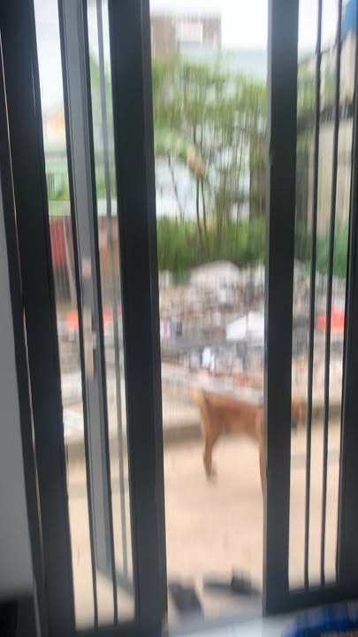 Nhà phố độc đáo Phường Thanh Xuân 29m² giá 1.17 tỷ - Phù hợp người lớn tuổi!