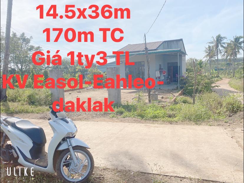 Đất nền xã Ea Sol 2610m² giá 1.3 tỷ - Đầu tư sinh lời ngay!
