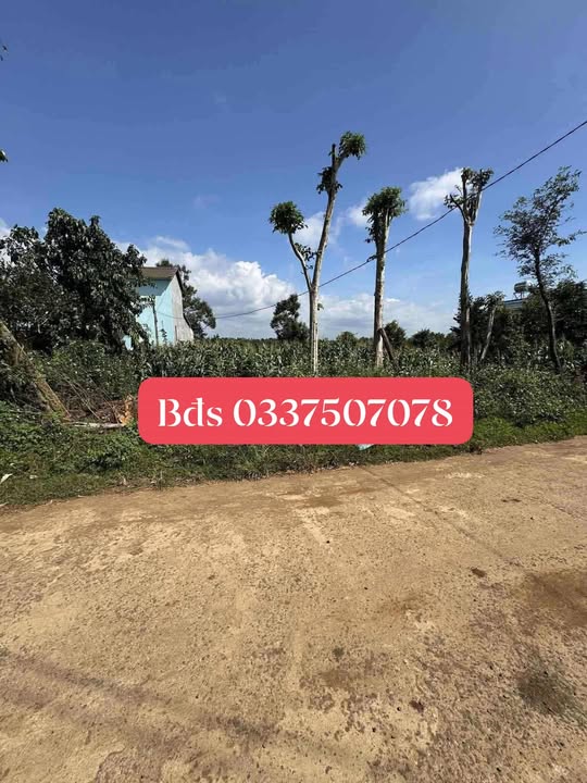 Đất nền Mặt tiền đường Yết Kiêu, Buôn Hồ 666m² giá 6.48 tỷ - Đầu tư sinh lời cao!