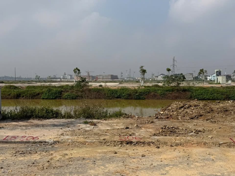 Đất nền Đồng Cây Mưng, Văn Sơn, 150m² giá 3 tỷ - Đầu tư tiềm năng!