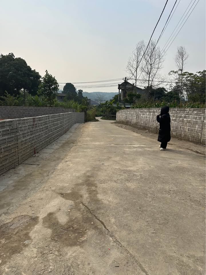 Lô đất 128m² tại Xóm 2 Trung Môn - chỉ 500 triệu - Đầu tư sinh lời hấp dẫn!