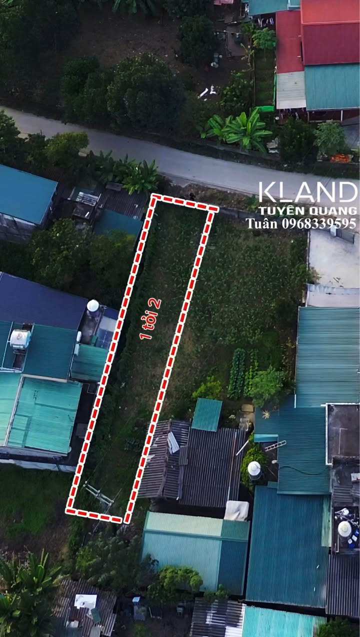 Đất thổ cư 150m² tại Nông Tiến, Tuyên Quang - Giá chỉ 1.2 tỷ, sẵn sàng giao dịch!