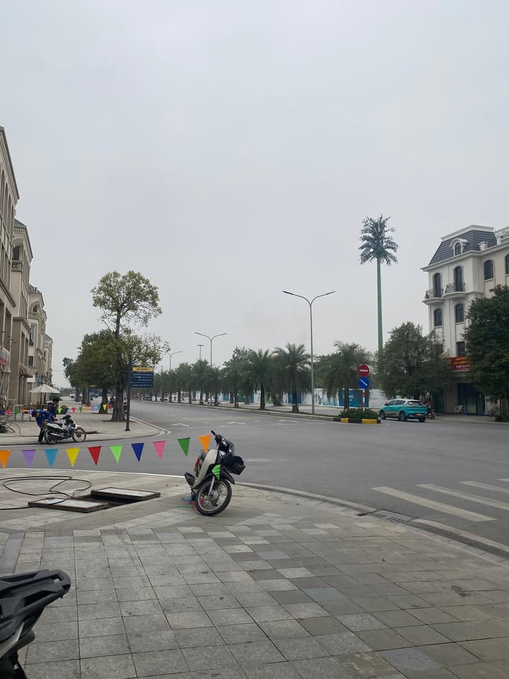 Shophouse cho thuê tại Vinhomes Ocean Park, Gia Lâm - Mặt tiền kinh doanh đắc địa!