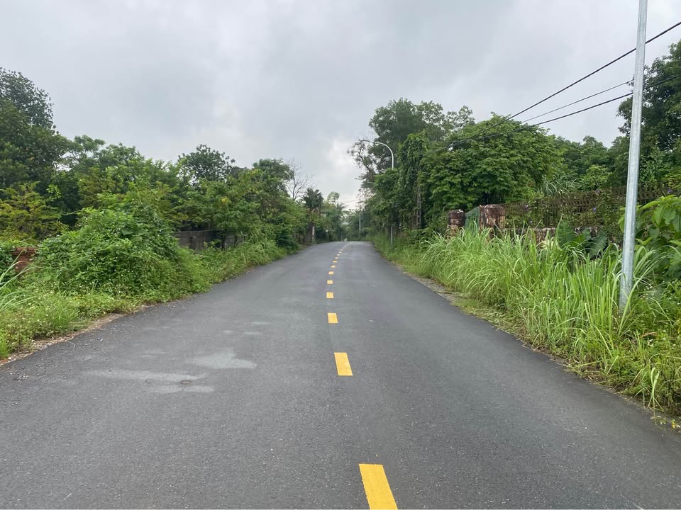 Lô góc view hồ Triệu Đô 6541m² giá thỏa thuận - Cơ hội vàng cho nhà đầu tư!