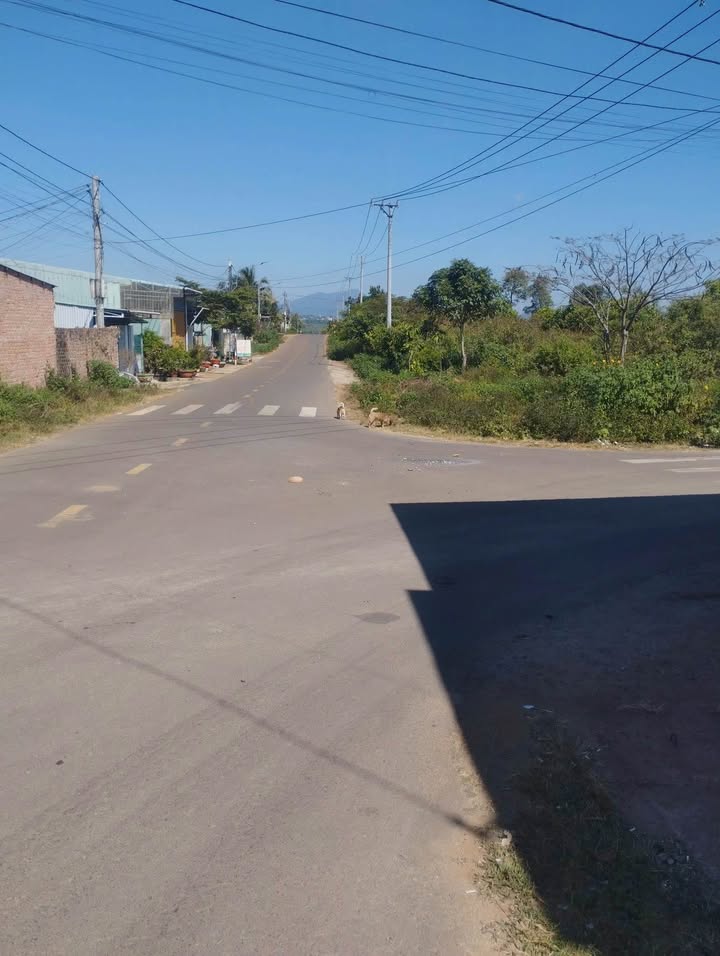 Nhà phố hẻm Bùi Đình Tuý, Bình Thạnh 594m² giá chỉ 1.8 tỷ - Cơ hội đầu tư tuyệt vời!