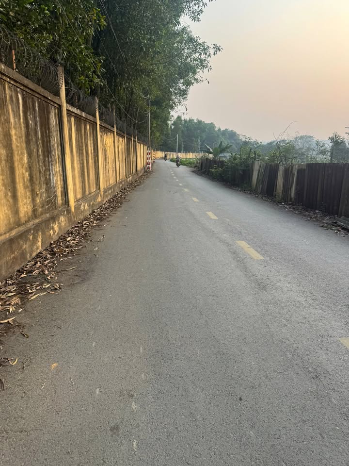 Đất thổ cư 100m² tại Phường Tùng Thiện, Sơn Tây - Giá chỉ 1 tỷ VND!