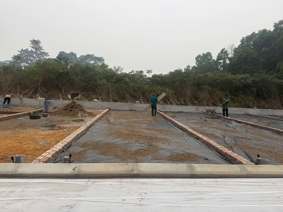 Đất nền Phường Xuân Khanh, Sơn Tây 60m² giá 1 tỷ - Đầu tư sinh lời ngay!