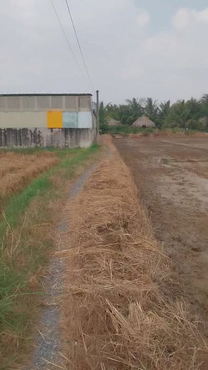 Đất nền Khu phố Thuận An, Gò Công 2000m² giá chỉ 1.4 tỷ - Cơ hội đầu tư tuyệt vời!