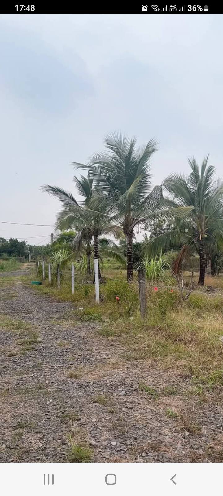 Farm 1 sào tại xã Trị An, Vĩnh Cửu giá 750 triệu - Cơ hội đầu tư tốt!