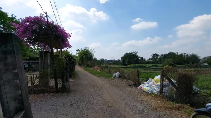 Đất nền Xuân Phú, Đồng Nai 296m² giá 780 triệu - Sổ hồng riêng, thổ cư 100%!