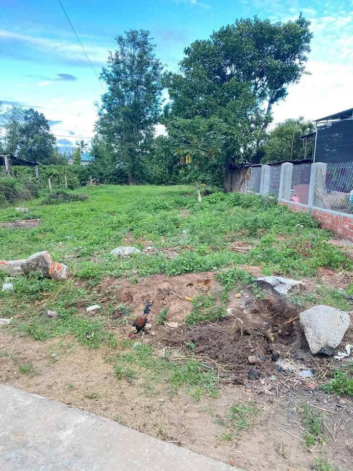 Bán đất thổ cư Thôn 1, Xã Diên Bình, Huyện Đắk Tô, Kon Tum 360m² - Sổ đỏ chính chủ!