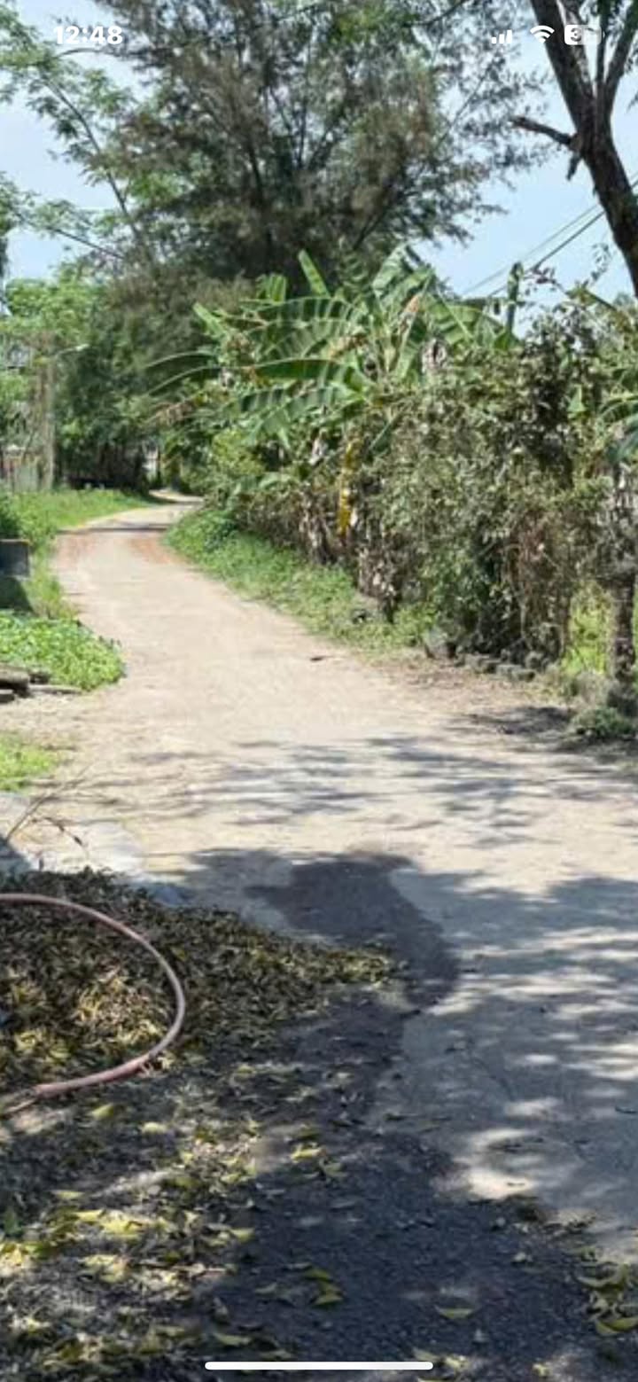 Đất Farm Xã Phong An 13.458m² giá tốt - Cơ hội đầu tư hấp dẫn!