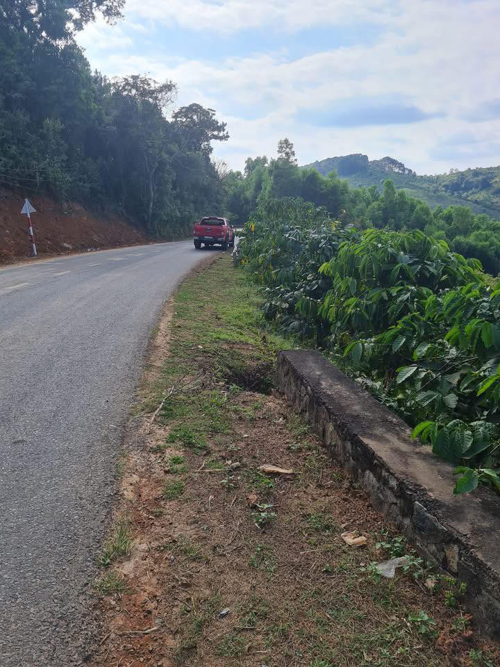 Đất nông nghiệp 9,5 sào tại Gia Bắc, Di Linh - Tiềm năng đầu tư cao!