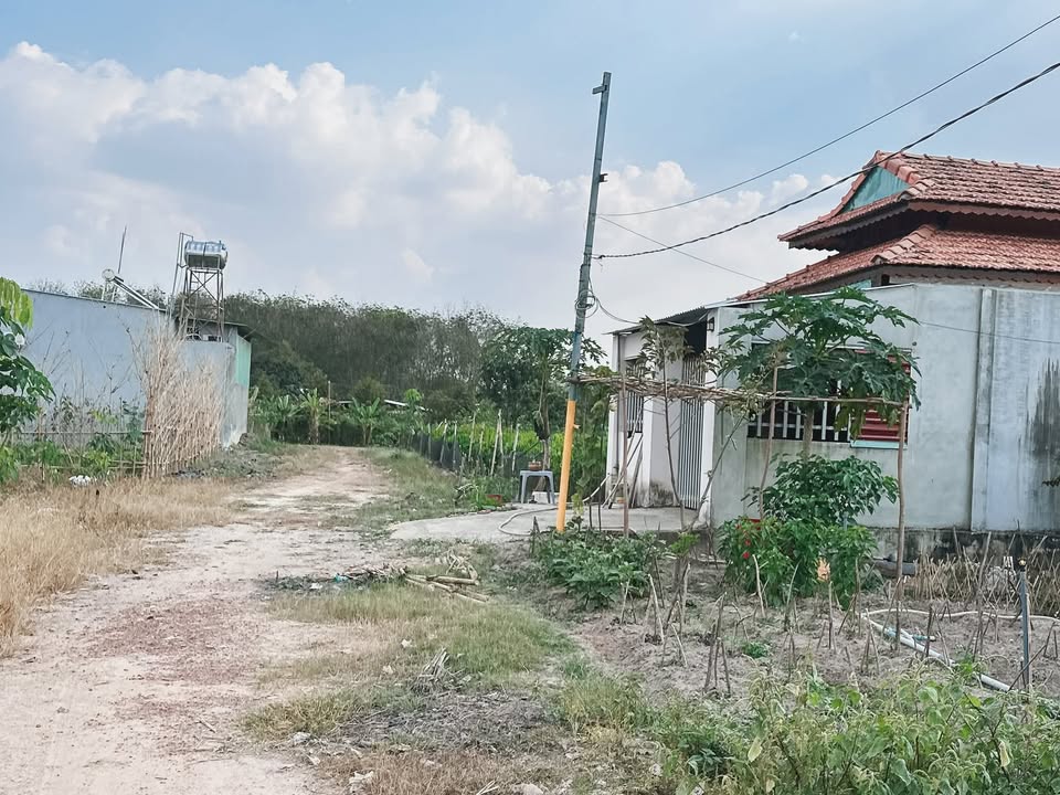 Đất nền Trừ Văn Thố, Bàu Bàng 230m² giá 5 tỷ - Cơ hội đầu tư hấp dẫn!