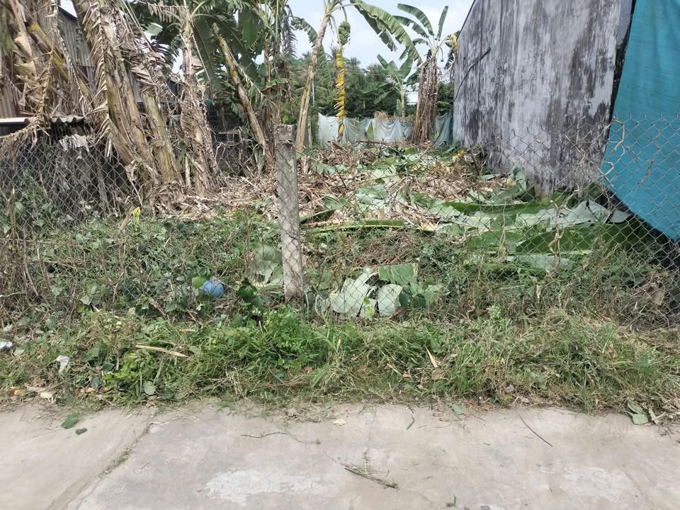 Đất nền KP 6, Xã Bình Ân, Huyện Gò Công Đông, 120m² - Giá chỉ 600 triệu, thương lượng!